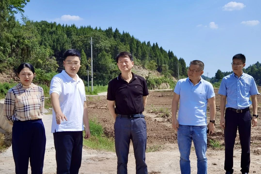 省pg赏金女王单机版试玩平台集团党委书记、董事长任丁率队赴巴中南充两地开展帮扶事情