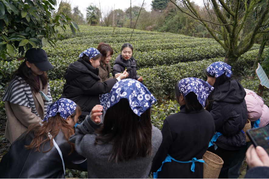 省pg赏金女王单机版试玩平台集团下属企业组织开展“三八”国际劳动妇女节主题运动